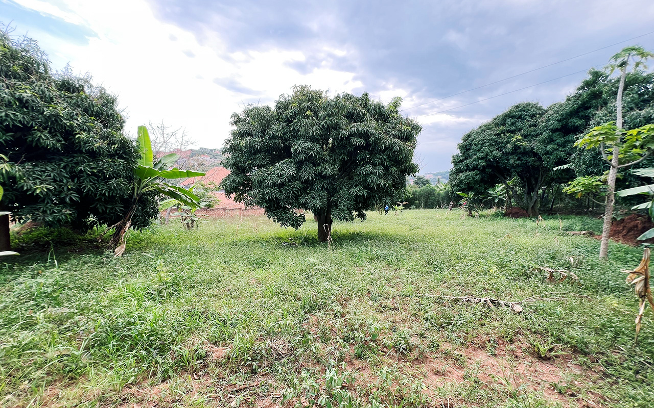 WhatsApp Image 2025-09-23 at 10.31.03 1.jpeg